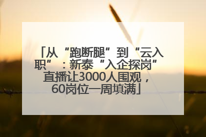 从“跑断腿”到“云入职”：新泰“入企探岗”直播让3000人围观，60岗位一周填满