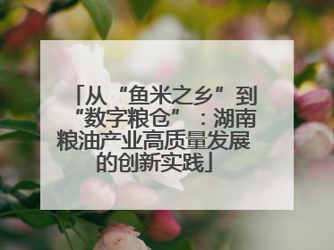 从“鱼米之乡”到“数字粮仓”：湖南粮油产业高质量发展的创新实践