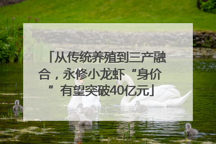 从传统养殖到三产融合，永修小龙虾“身价”有望突破40亿元
