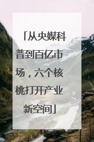 从央媒科普到百亿市场，六个核桃打开产业新空间