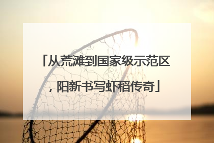 从荒滩到国家级示范区，阳新书写虾稻传奇