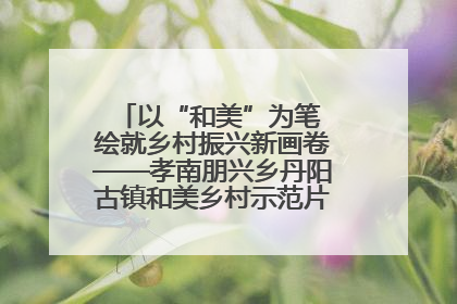 以“和美”为笔 绘就乡村振兴新画卷——孝南朋兴乡丹阳古镇和美乡村示范片区建设综述