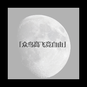 众鸟高飞竞自由