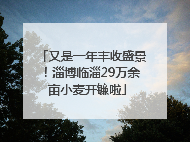 又是一年丰收盛景！淄博临淄29万余亩小麦开镰啦