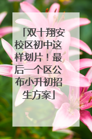 双十翔安校区初中这样划片！最后一个区公布小升初招生方案