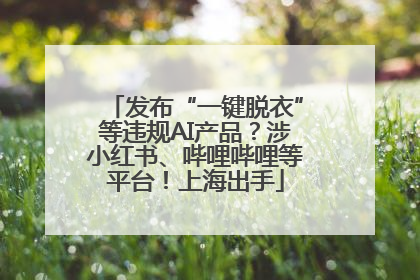 发布“一键脱衣”等违规AI产品？涉小红书、哔哩哔哩等平台！上海出手