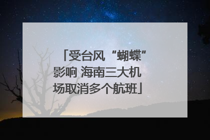 受台风“蝴蝶”影响 海南三大机场取消多个航班