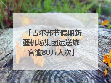 古尔邦节假期新疆机场集团运送旅客逾80万人次