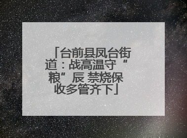 台前县凤台街道：战高温守“粮”辰 禁烧保收多管齐下