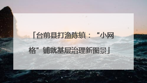 台前县打渔陈镇：“小网格”铺就基层治理新图景