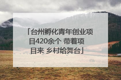 台州孵化青年创业项目420余个 带着项目来 乡村给舞台