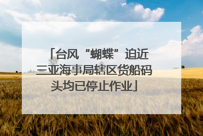 台风“蝴蝶”迫近 三亚海事局辖区货船码头均已停止作业