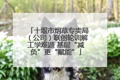 十堰市烟草专卖局（公司）联创轮训解工学难题 基层“减负”更“赋能”