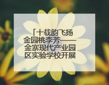 十载韵飞扬 金园桃李芳——金寨现代产业园区实验学校开展第十届校园文化艺术节暨庆“六一”系列活动
