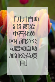 升升自助 涓涓积爱 中石化黄冈石油分公司启动自助加油公益项目