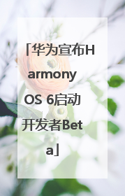 华为宣布HarmonyOS 6启动开发者Beta