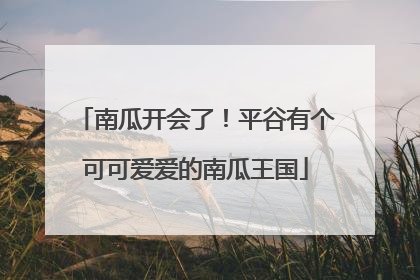南瓜开会了！平谷有个可可爱爱的南瓜王国