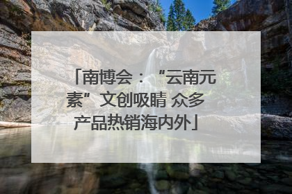 南博会：“云南元素”文创吸睛 众多产品热销海内外