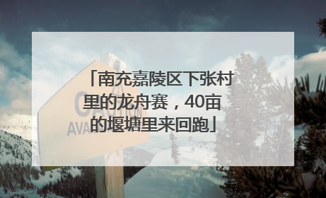南充嘉陵区下张村里的龙舟赛，40亩的堰塘里来回跑