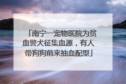 南宁一宠物医院为贫血警犬征集血源，有人带狗狗前来抽血配型
