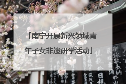 南宁开展新兴领域青年子女非遗研学活动