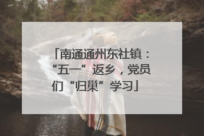 南通通州东社镇：“五一”返乡，党员们“归巢”学习