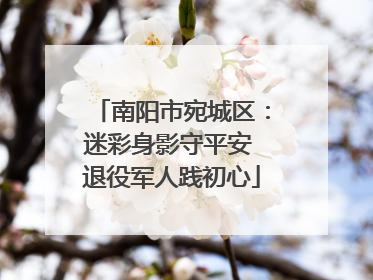 南阳市宛城区：迷彩身影守平安 退役军人践初心