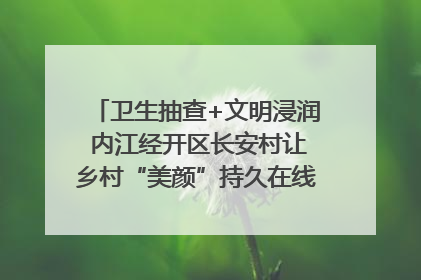 卫生抽查+文明浸润 内江经开区长安村让乡村“美颜”持久在线｜万千气象看四川