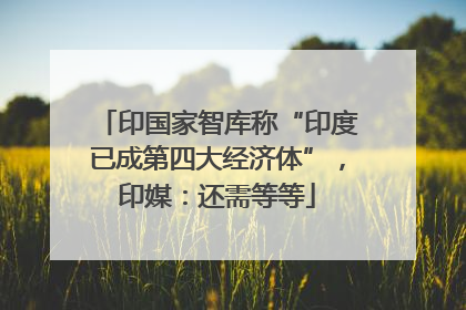 印国家智库称“印度已成第四大经济体”，印媒：还需等等