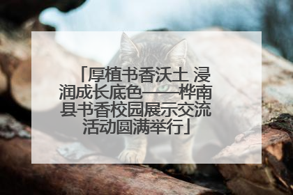 厚植书香沃土 浸润成长底色——桦南县书香校园展示交流活动圆满举行