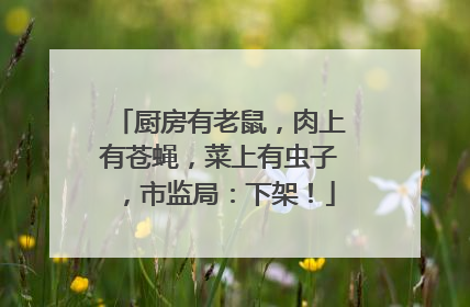 厨房有老鼠，肉上有苍蝇，菜上有虫子，市监局：下架！