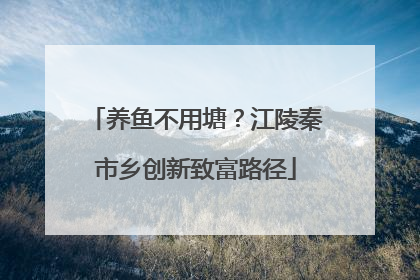 养鱼不用塘？江陵秦市乡创新致富路径