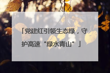 党建红引领生态绿，守护高速“绿水青山”