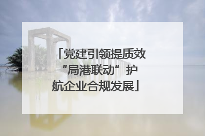 党建引领提质效 “局港联动”护航企业合规发展