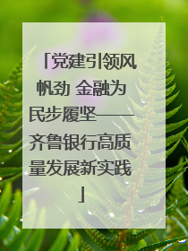 党建引领风帆劲 金融为民步履坚——齐鲁银行高质量发展新实践
