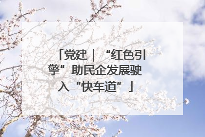 党建｜“红色引擎”助民企发展驶入“快车道”