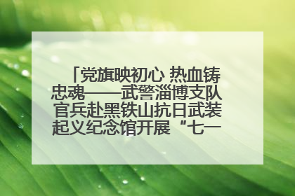 党旗映初心 热血铸忠魂——武警淄博支队官兵赴黑铁山抗日武装起义纪念馆开展“七一”主题党日活动