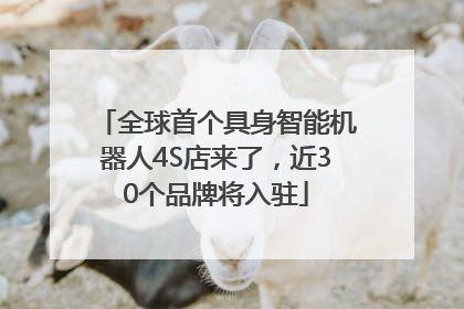 全球首个具身智能机器人4S店来了，近30个品牌将入驻