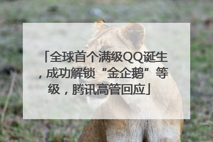 全球首个满级QQ诞生，成功解锁“金企鹅”等级，腾讯高管回应