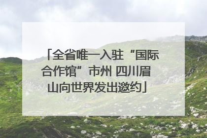 全省唯一入驻“国际合作馆”市州 四川眉山向世界发出邀约
