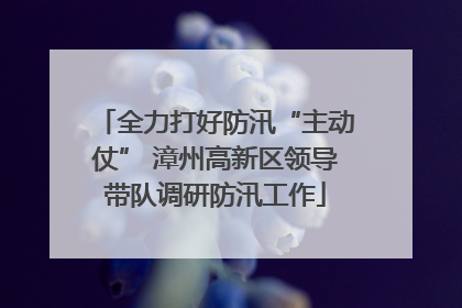 全力打好防汛“主动仗” 漳州高新区领导带队调研防汛工作