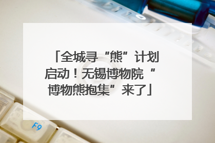 全城寻“熊”计划启动！无锡博物院“博物熊抱集”来了