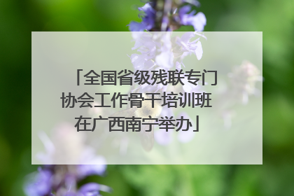 全国省级残联专门协会工作骨干培训班在广西南宁举办