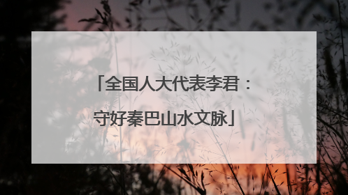 全国人大代表李君：守好秦巴山水文脉