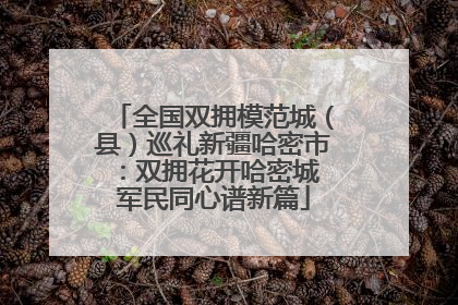 全国双拥模范城（县）巡礼新疆哈密市：双拥花开哈密城 军民同心谱新篇