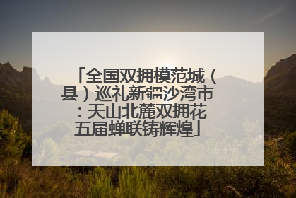 全国双拥模范城（县）巡礼新疆沙湾市：天山北麓双拥花 五届蝉联铸辉煌