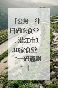 公务一律扫码吃食堂，潜江市130家食堂“一码通刷”