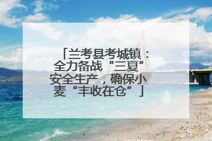 兰考县考城镇：全力备战“三夏”安全生产，确保小麦“丰收在仓”