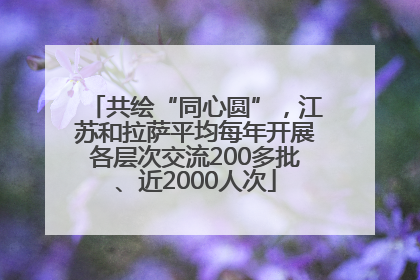 共绘“同心圆”，江苏和拉萨平均每年开展各层次交流200多批、近2000人次