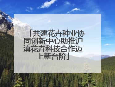 共建花卉种业协同创新中心助推沪滇花卉科技合作迈上新台阶